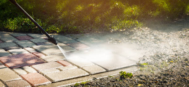 Best Graffiti Removal  in Walbridge, OH