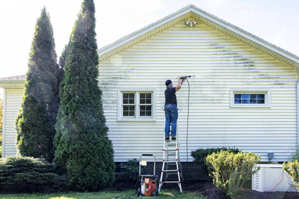Professional Pressure Washing in Walbridge, OH